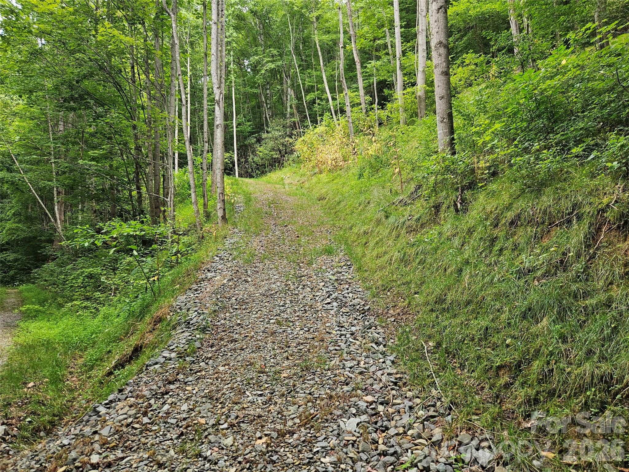 4th image of 00 Wayward Cvs, Clyde, NC 28721 | MLS# 4407283