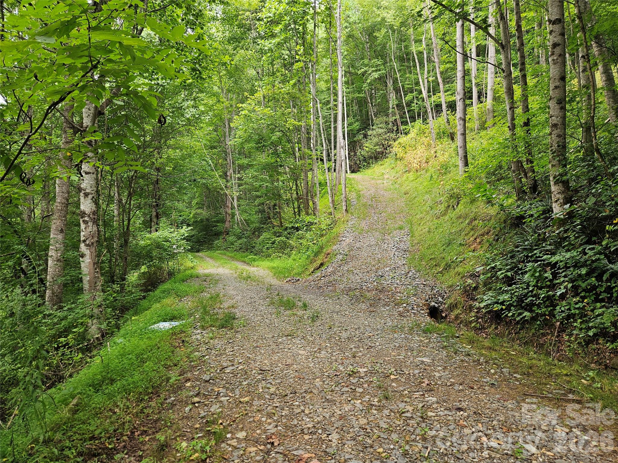 3rd image of 00 Wayward Cvs, Clyde, NC 28721 | MLS# 4407283