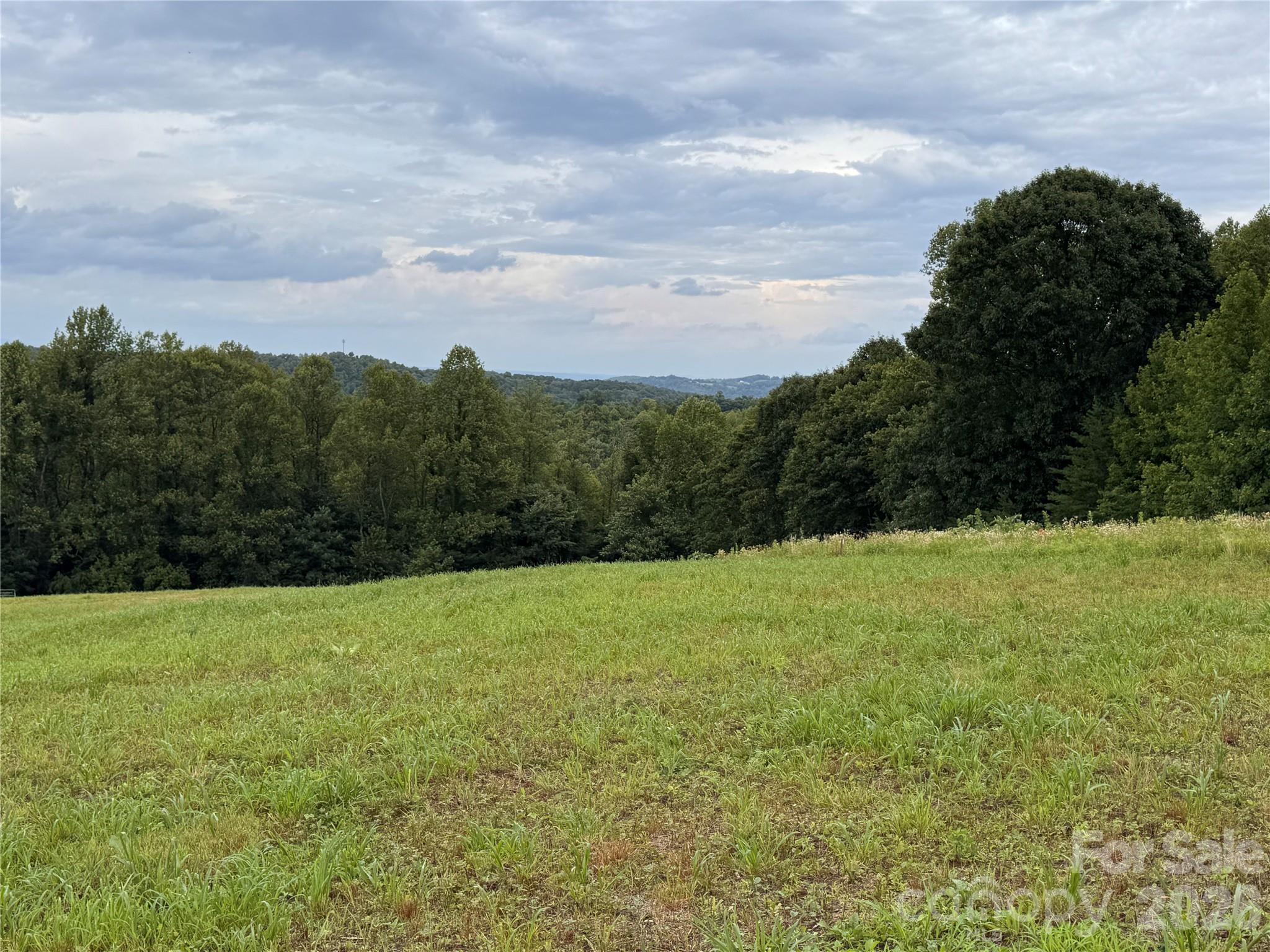 7th image of 000 Pearson Rd, Moravian Falls, NC 28654 | MLS# 4407374