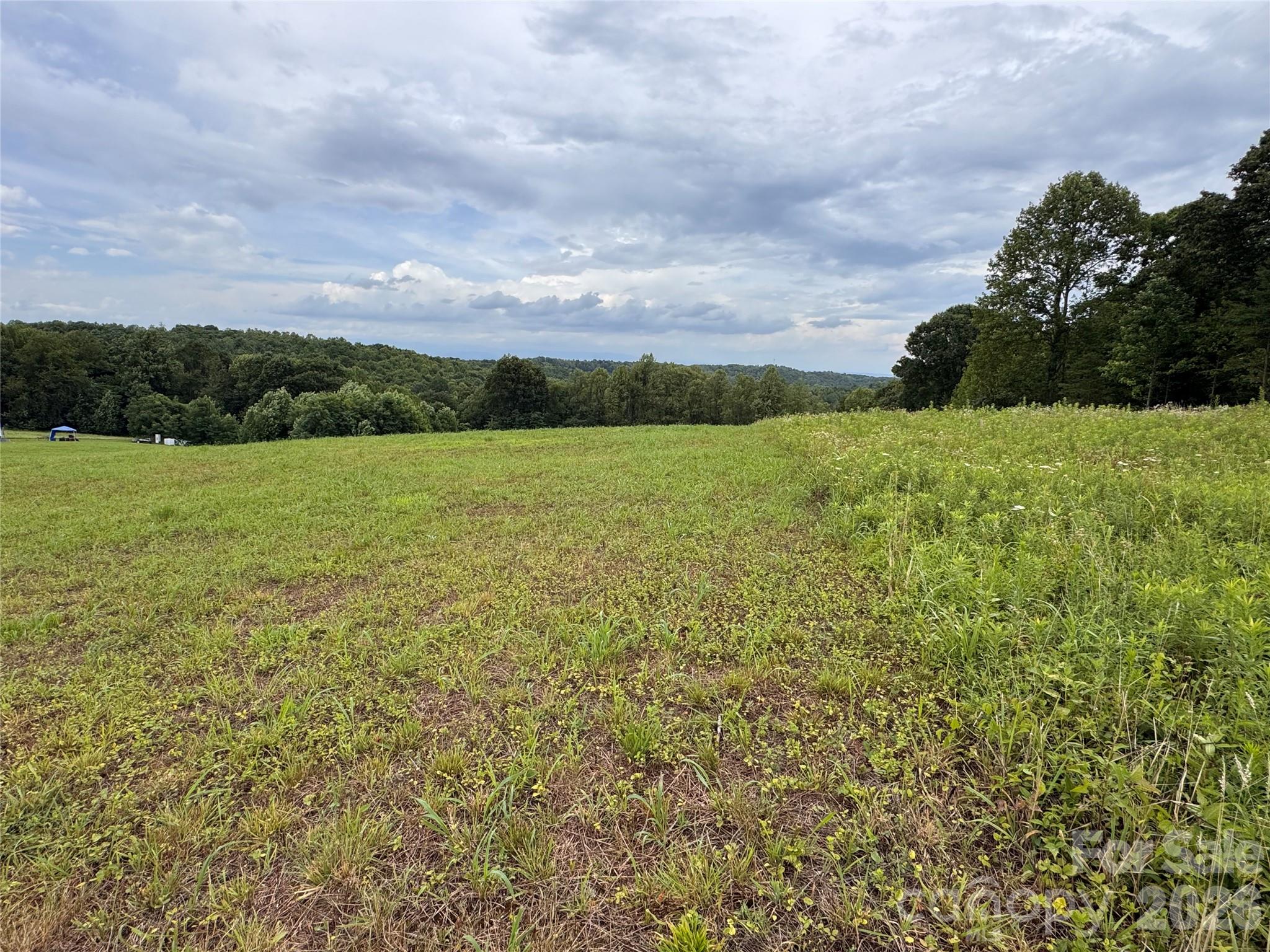 4th image of 000 Pearson Rd, Moravian Falls, NC 28654 | MLS# 4407374