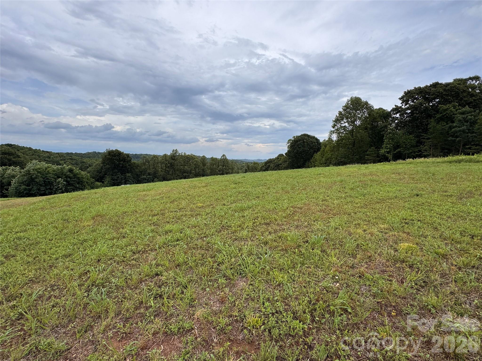 3rd image of 000 Pearson Rd, Moravian Falls, NC 28654 | MLS# 4407374