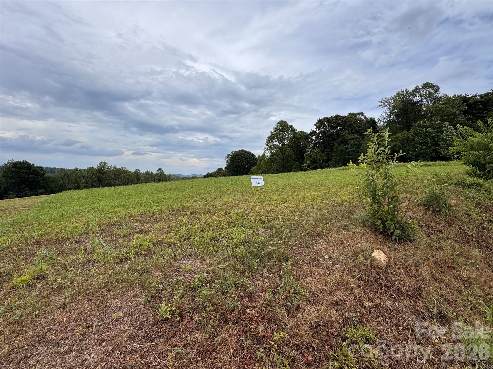 2nd image of 000 Pearson Rd, Moravian Falls, NC 28654 | MLS# 4407374
