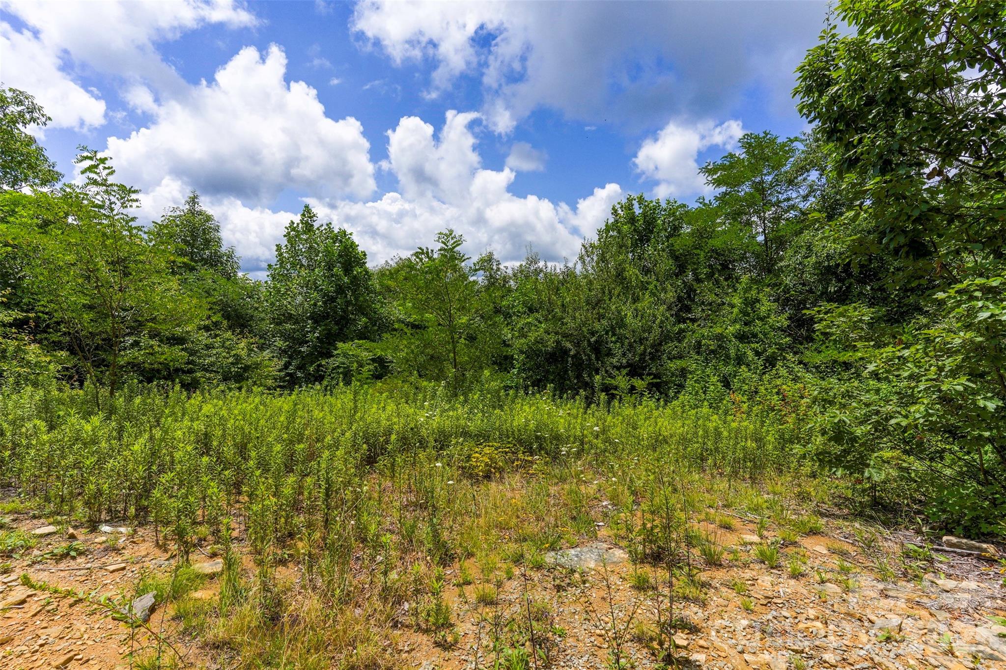 2nd image of 705 Pine Ridge Rd #59, Hendersonville, NC 28792 | MLS# 4407513