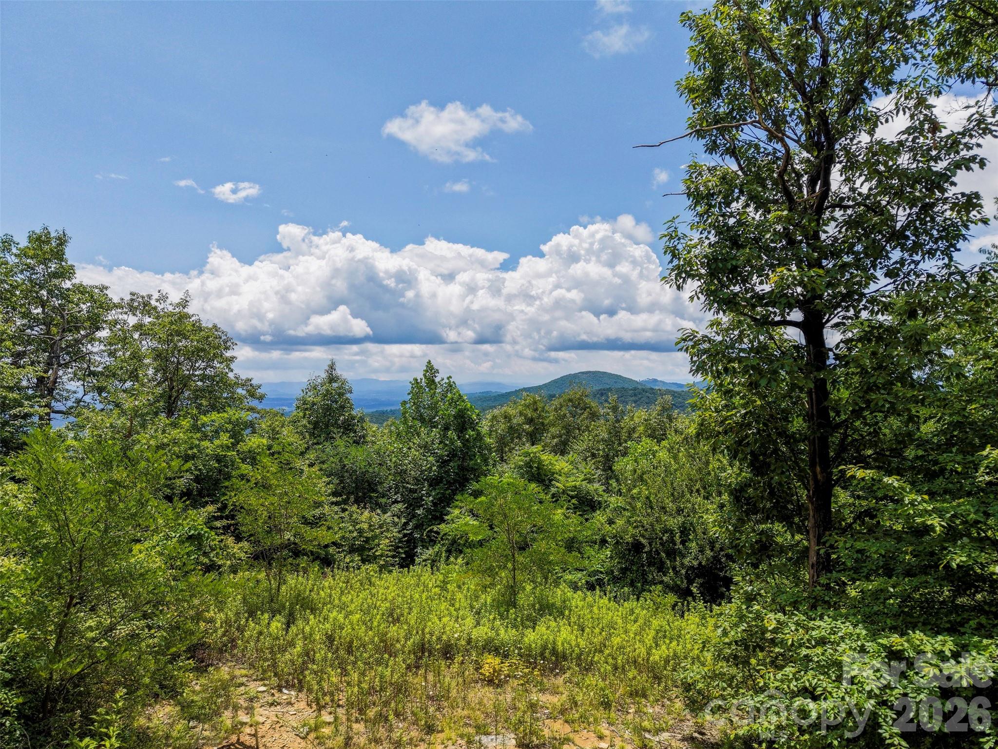 1st image of 705 Pine Ridge Rd #59, Hendersonville, NC 28792 | MLS# 4407513