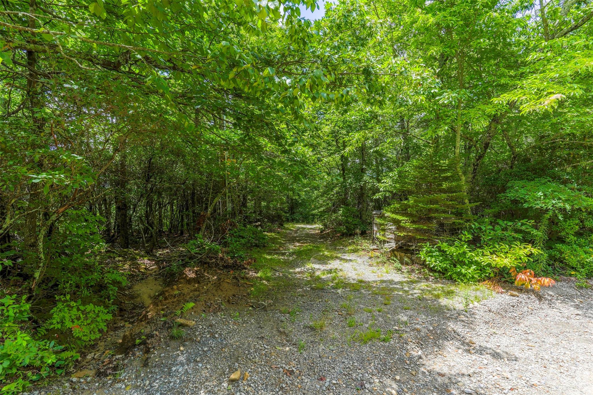 5th image of 705 Pine Ridge Rd #59, Hendersonville, NC 28792 | MLS# 4407513