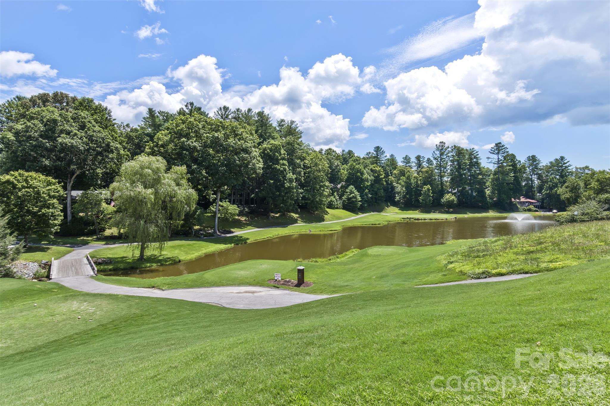 44th image of 100 Titleist Wy, Hendersonville, NC 28739 | MLS# 4407640