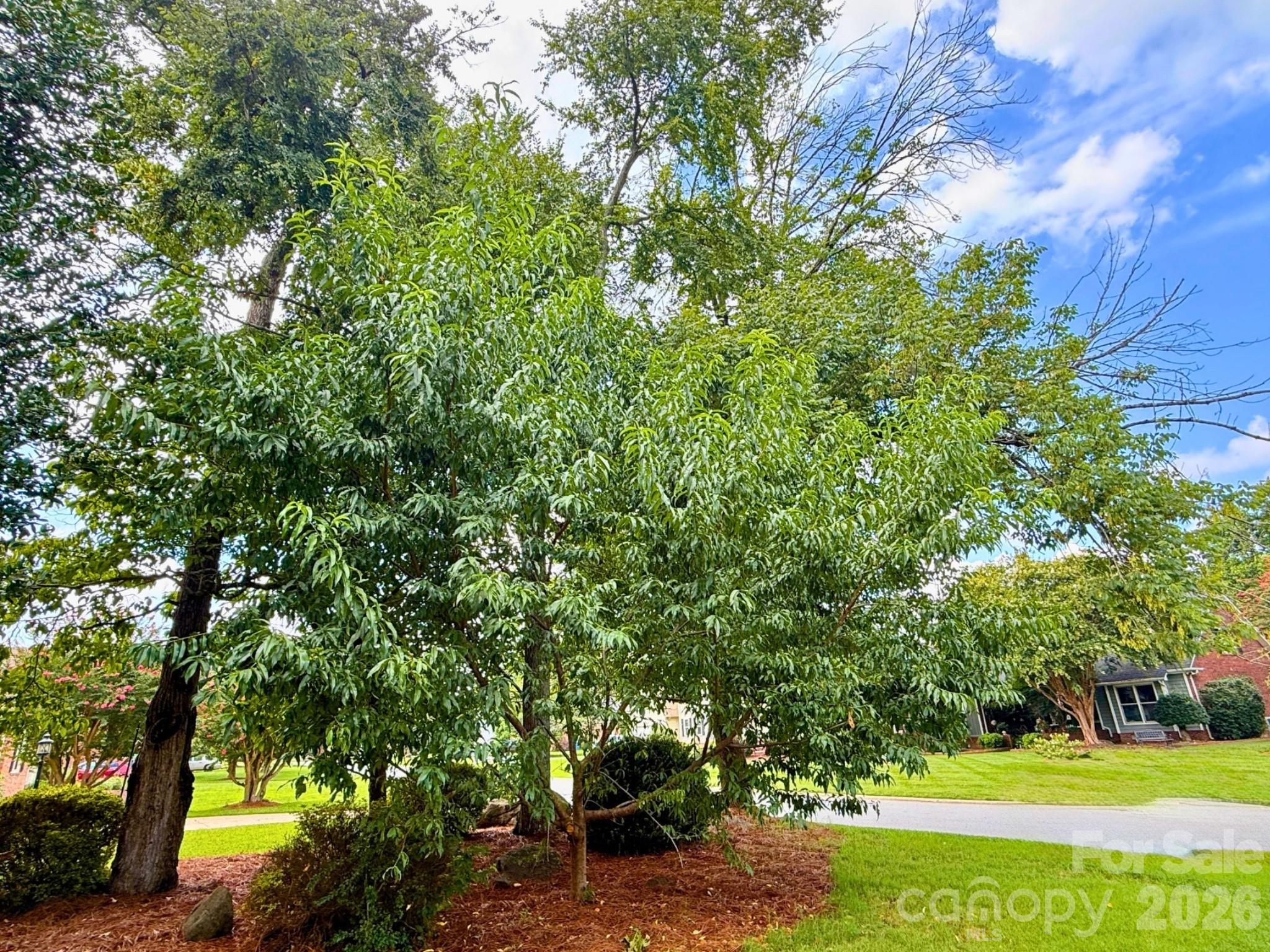 42nd image of 8601 Middleton Cir, Harrisburg, NC 28075 | MLS# 4407801