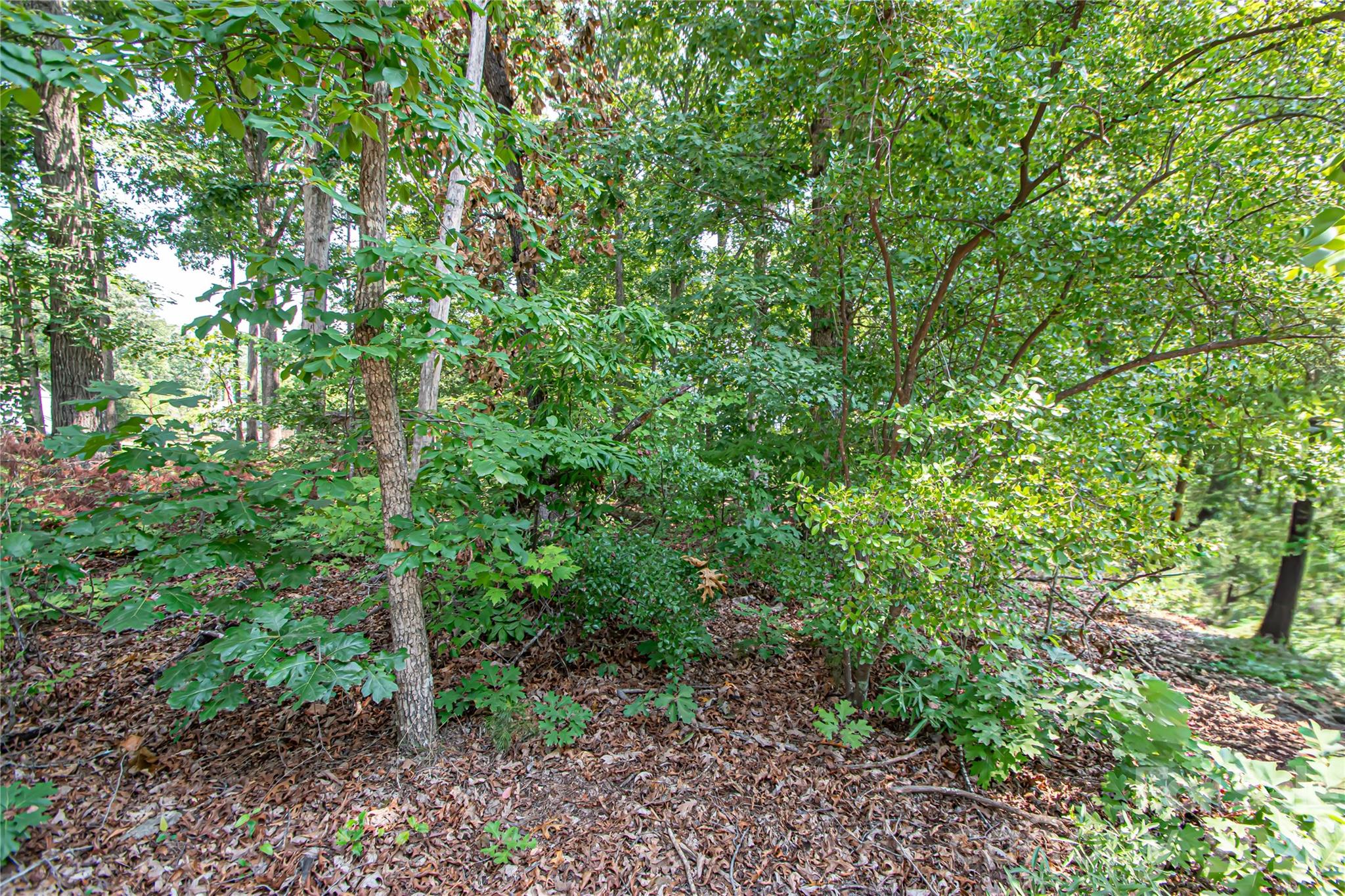 3rd image of 0 Sarah Dr #119, Denver, NC 28037 | MLS# 4407865