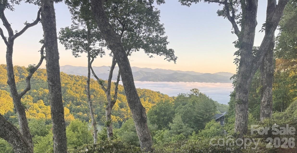 image of 298 Tinequa Dr, Brevard, NC 28712 | MLS# 4407943