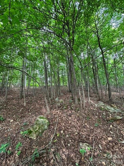 4th image of 0 Cove Gap Rd #1, Moravian Falls, NC 28654 | MLS# 4407970