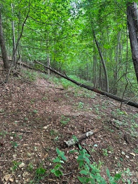 3rd image of 0 Cove Gap Rd #1, Moravian Falls, NC 28654 | MLS# 4407970