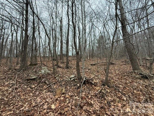 5th image of 0 Cove Gap Rd #1, Moravian Falls, NC 28654 | MLS# 4407970