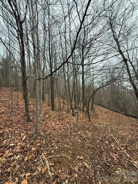 6th image of 0 Cove Gap Rd #2, Moravian Falls, NC 28654 | MLS# 4407974