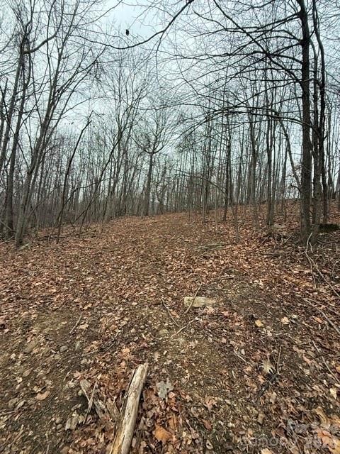 5th image of 0 Cove Gap Rd #2, Moravian Falls, NC 28654 | MLS# 4407974