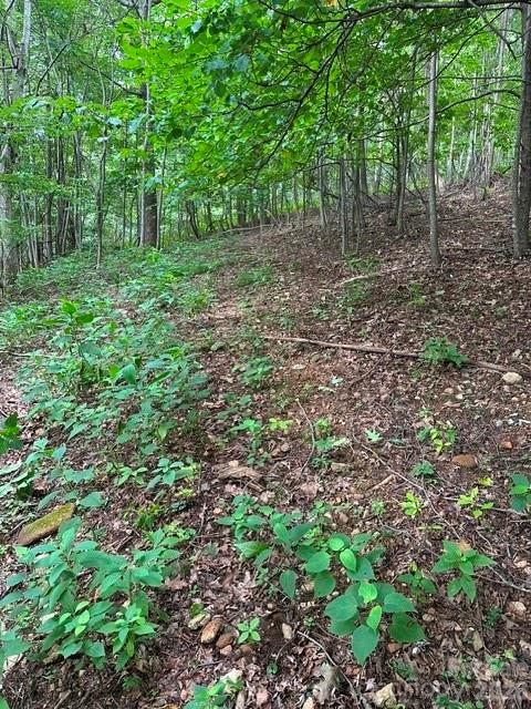 3rd image of 0 Cove Gap Rd #2, Moravian Falls, NC 28654 | MLS# 4407974