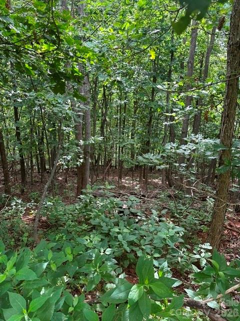 2nd image of 0 Cove Gap Rd #2, Moravian Falls, NC 28654 | MLS# 4407974
