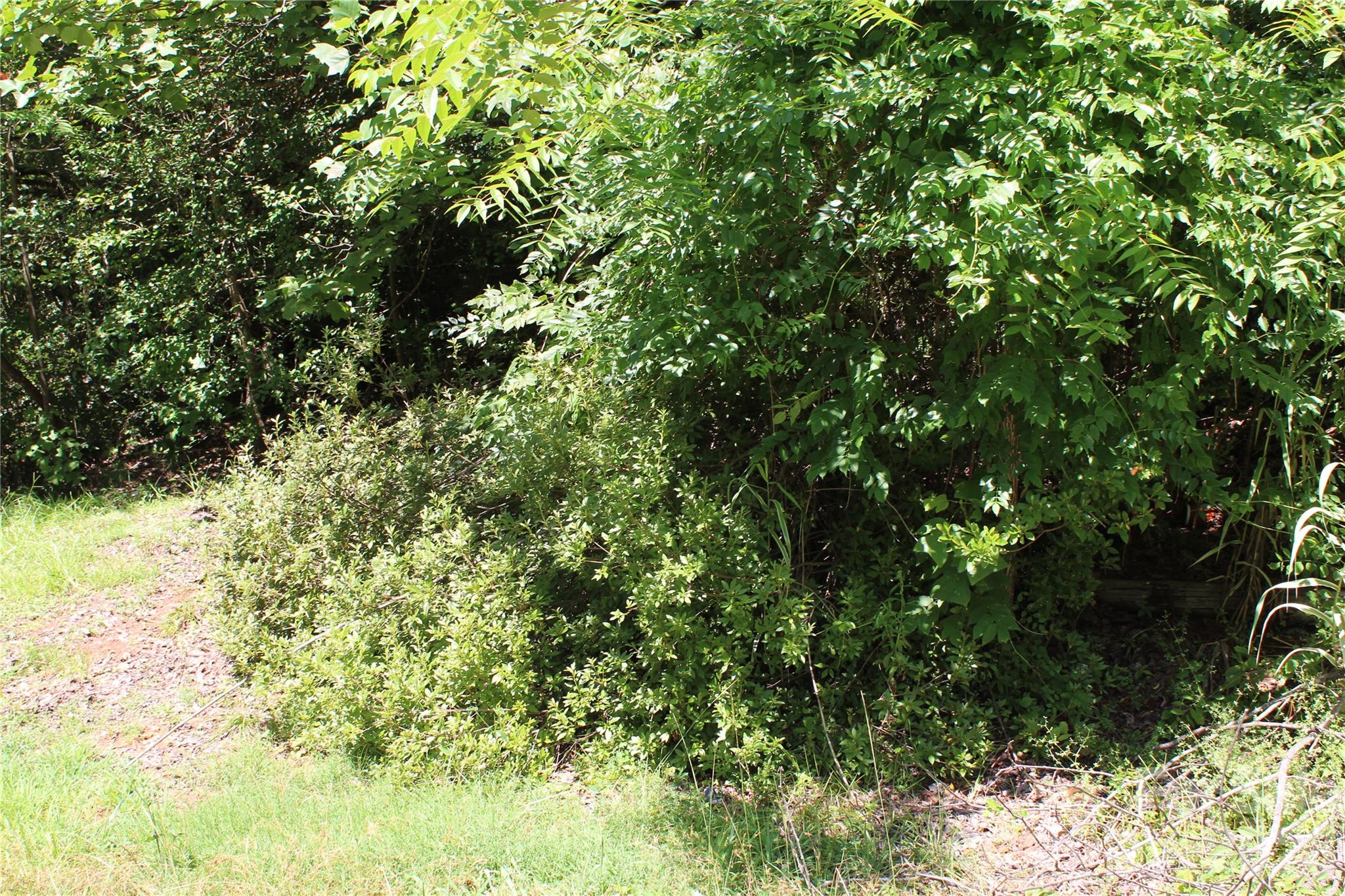 1st image of 3041 Bills Creek Rd, Lake Lure, NC 28746 | MLS# 4408163