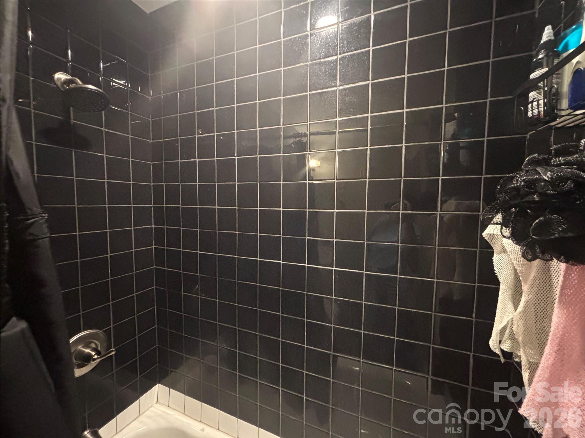 10th image of 1906 Meadowlark Ln #19, Charlotte, NC 28210 | MLS# 4408652