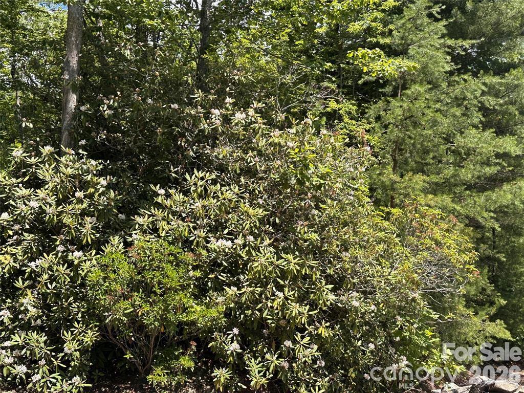 4th image of 66 Boone Cove Rd, Zirconia, NC 28790 | MLS# 4408671