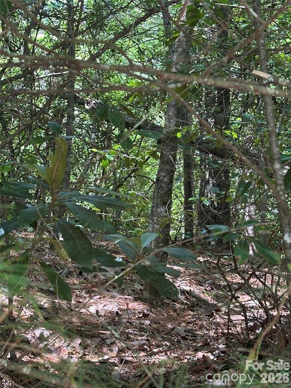 3rd image of 66 Boone Cove Rd, Zirconia, NC 28790 | MLS# 4408671