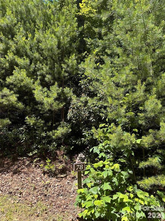 1st image of 66 Boone Cove Rd, Zirconia, NC 28790 | MLS# 4408671