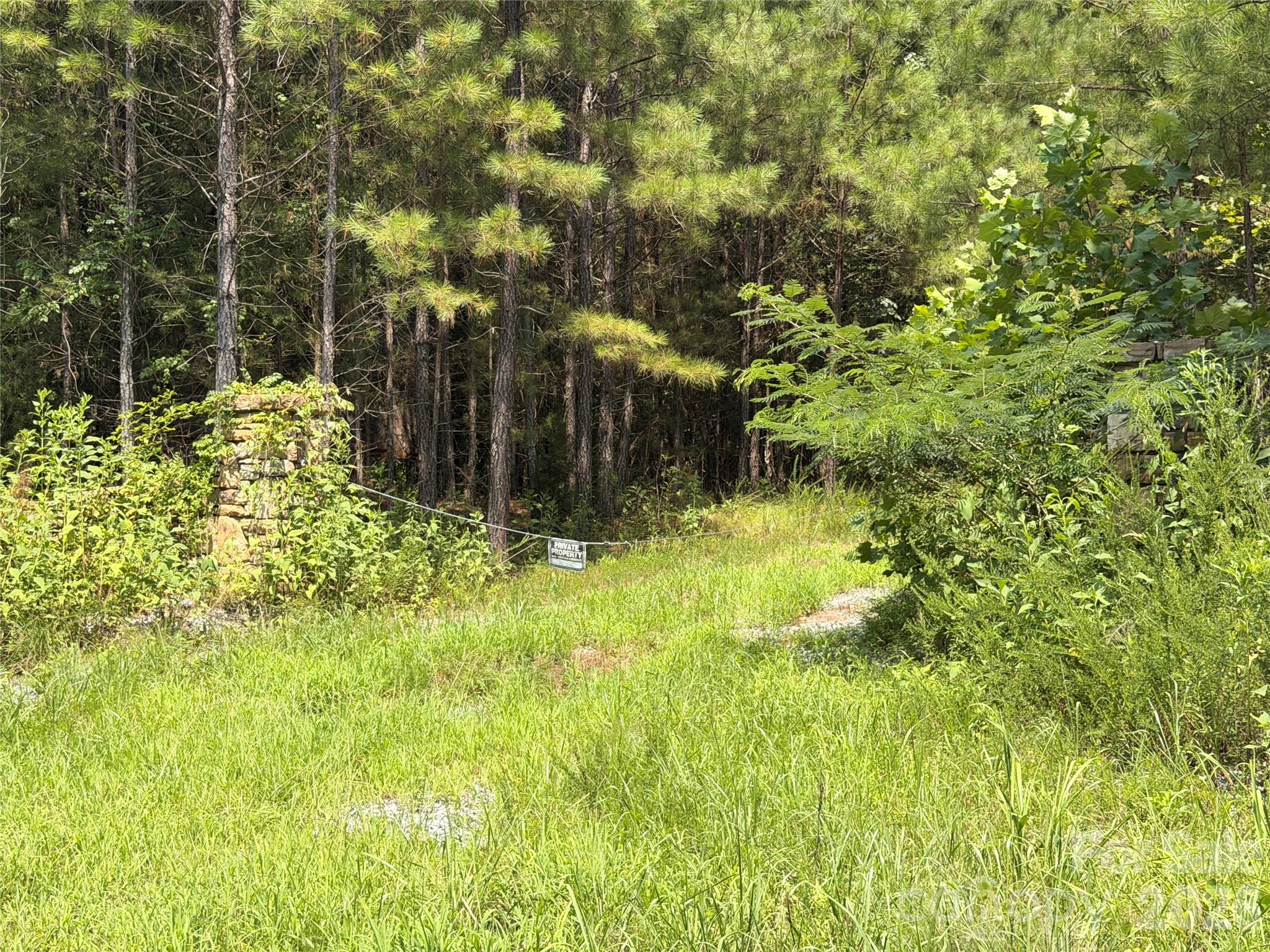 2nd image of 000 Thompson Lake Rd, Rutherfordton, NC 28139 | MLS# 4408786
