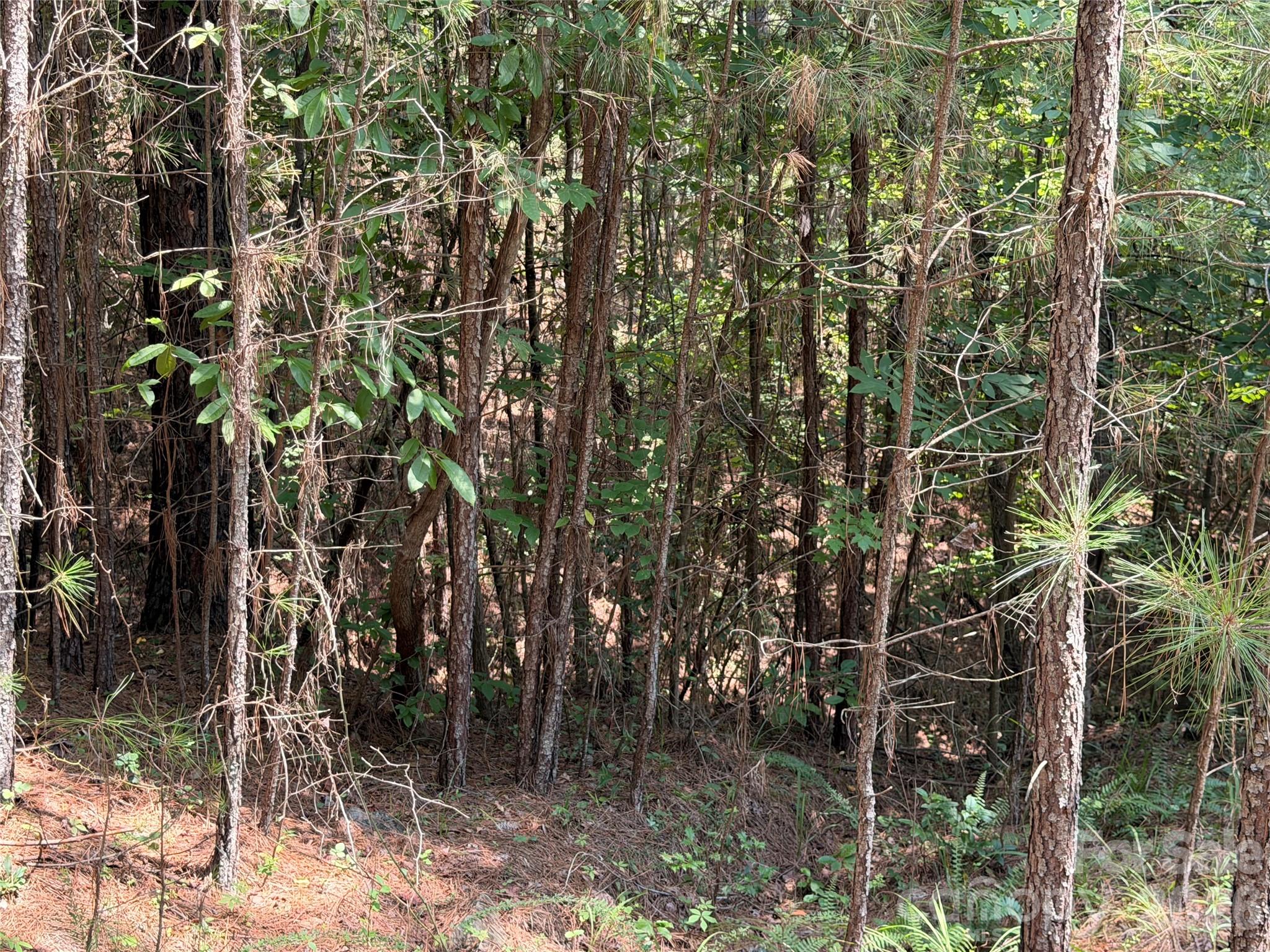 4th image of 000 Thompson Lake Rd, Rutherfordton, NC 28139 | MLS# 4408786