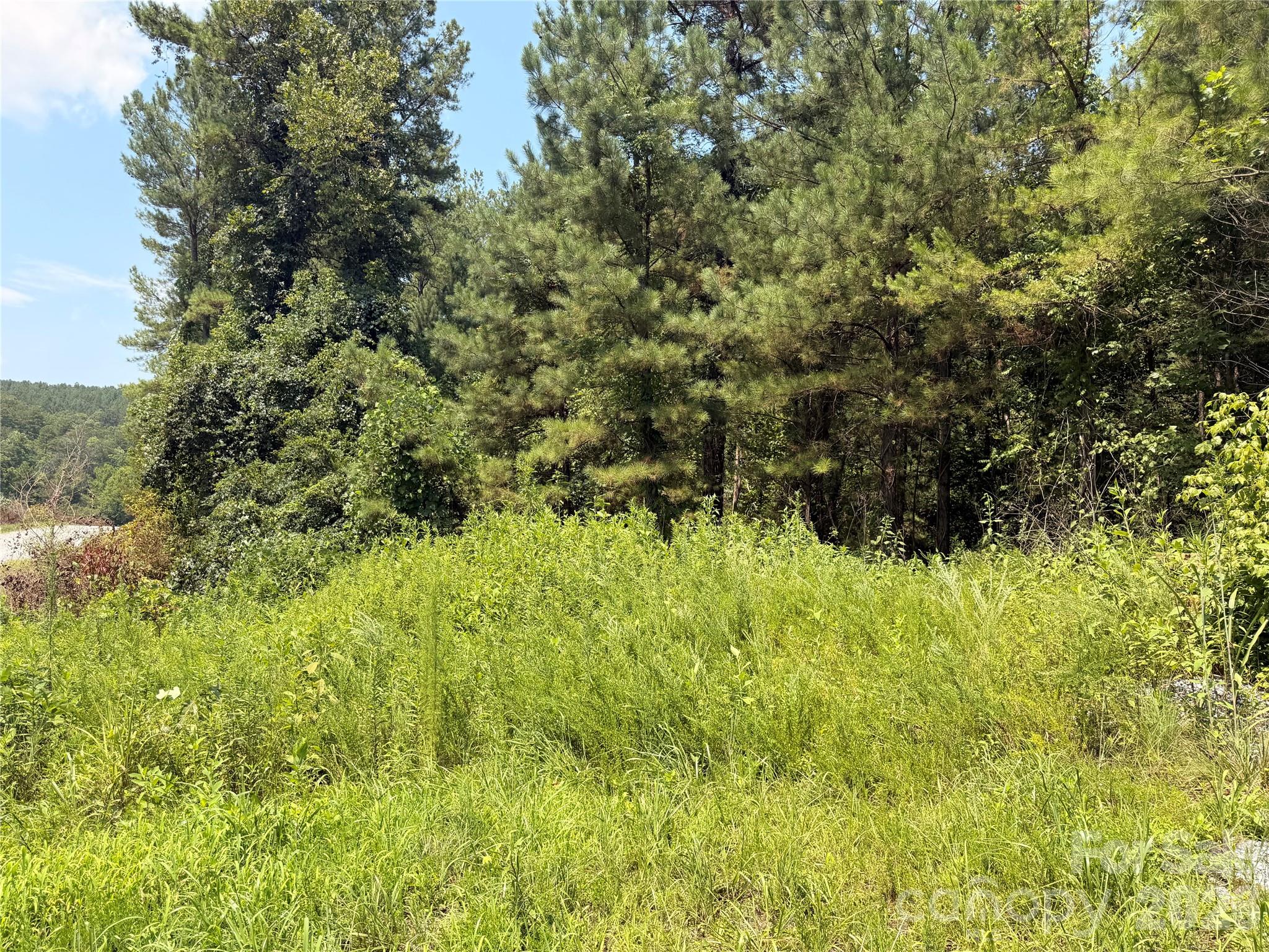 13th image of 000 Thompson Lake Rd, Rutherfordton, NC 28139 | MLS# 4408786