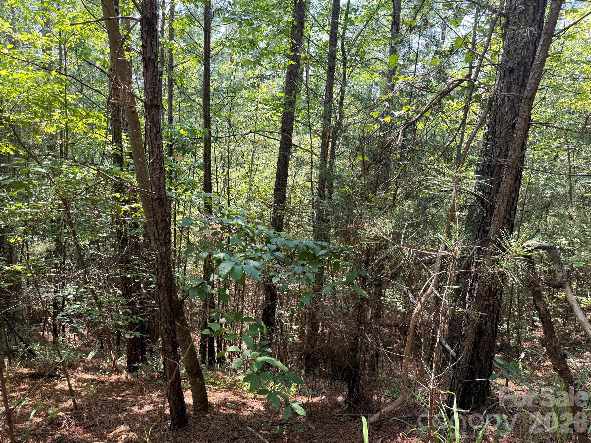 3rd image of 000 Thompson Lake Rd, Rutherfordton, NC 28139 | MLS# 4408786