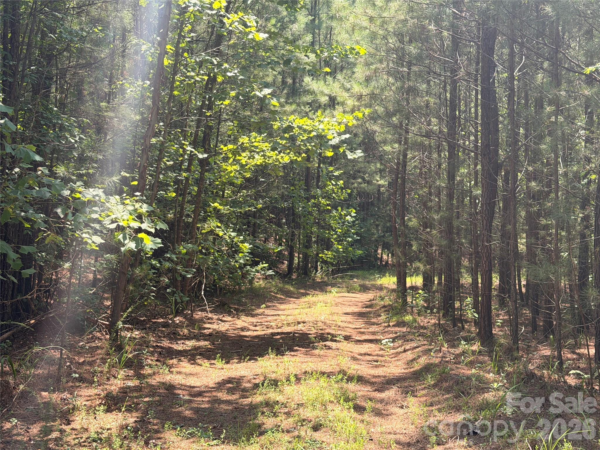 1st image of 000 Thompson Lake Rd, Rutherfordton, NC 28139 | MLS# 4408786