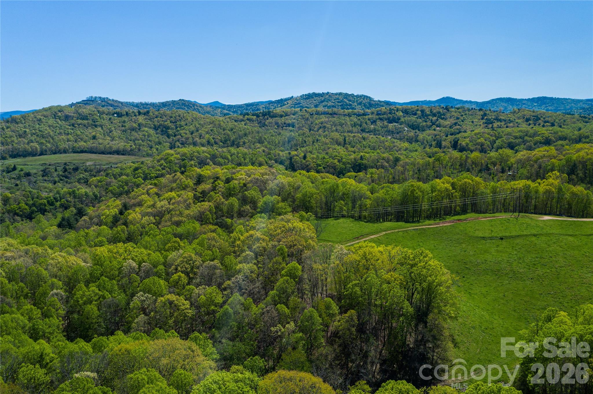 5th image of 9999 Bee Balm Wy #55, Asheville, NC 28804 | MLS# 4409301
