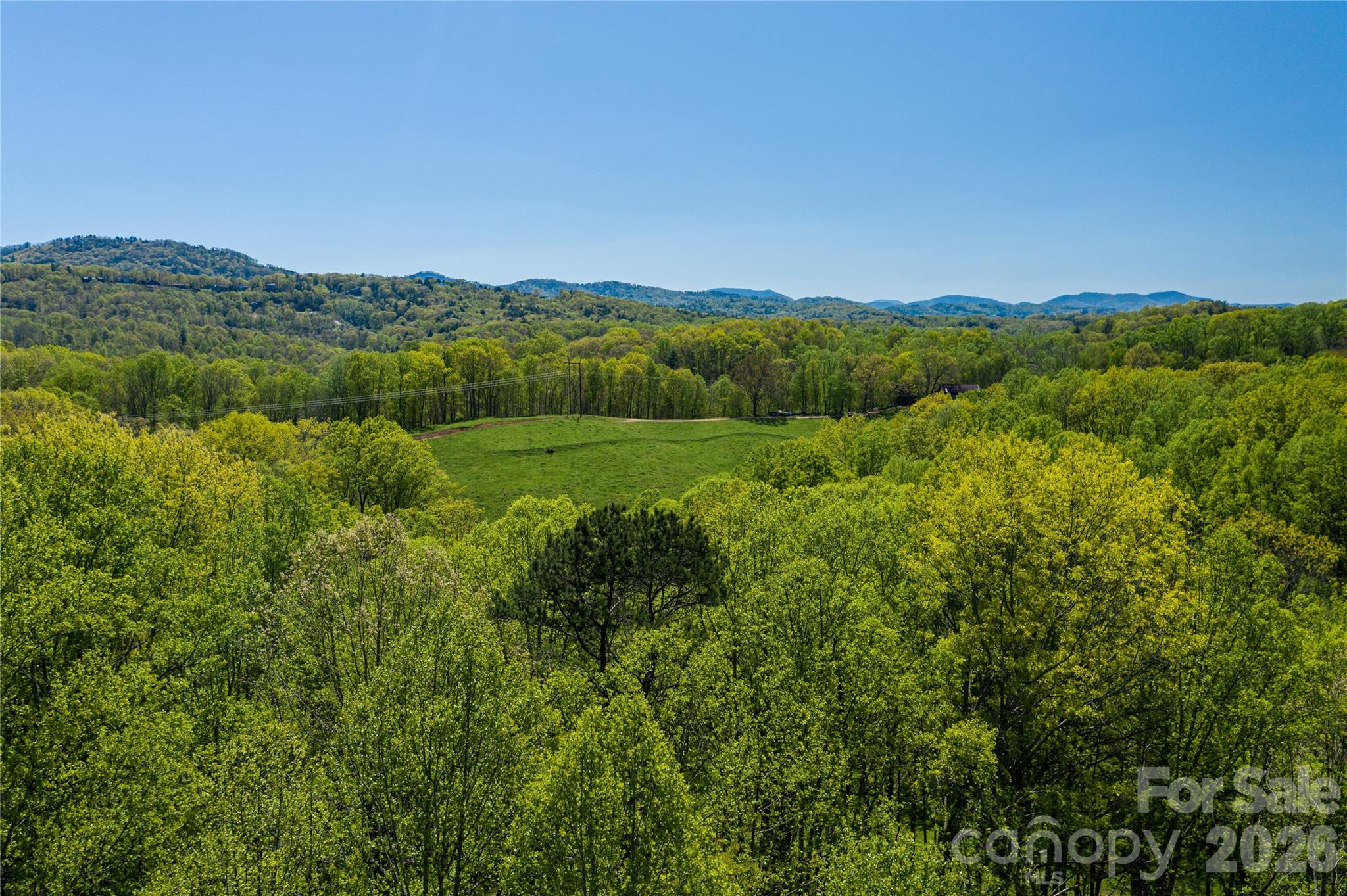3rd image of 9999 Bee Balm Wy #55, Asheville, NC 28804 | MLS# 4409301