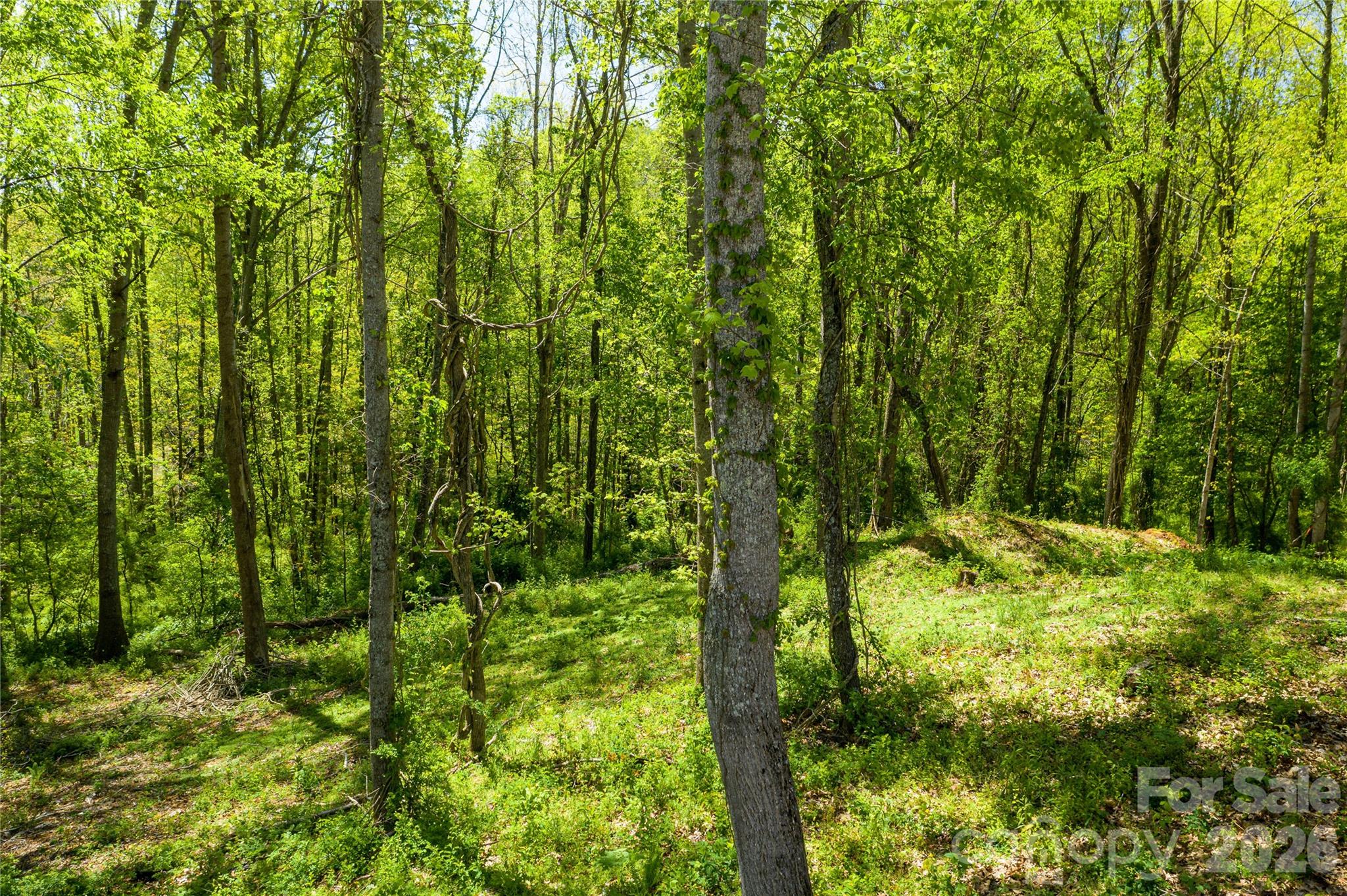 2nd image of 9999 Bee Balm Wy #55, Asheville, NC 28804 | MLS# 4409301
