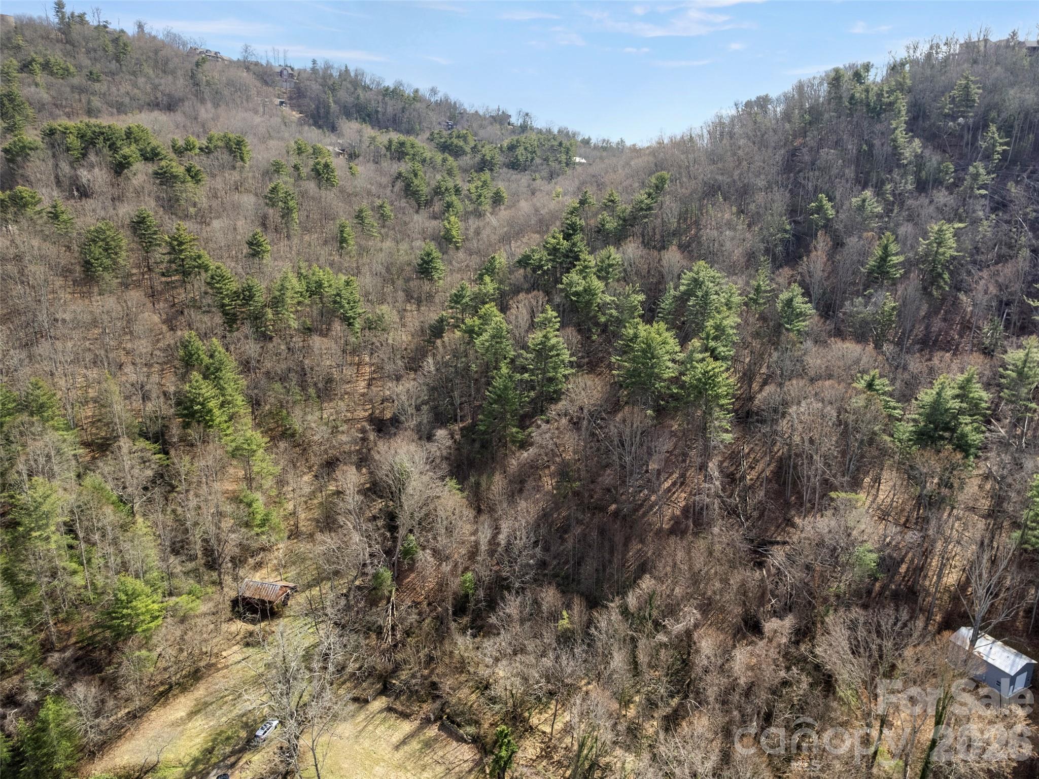 4th image of 401 Baird Cove Rd, Asheville, NC 28804 | MLS# 4409508