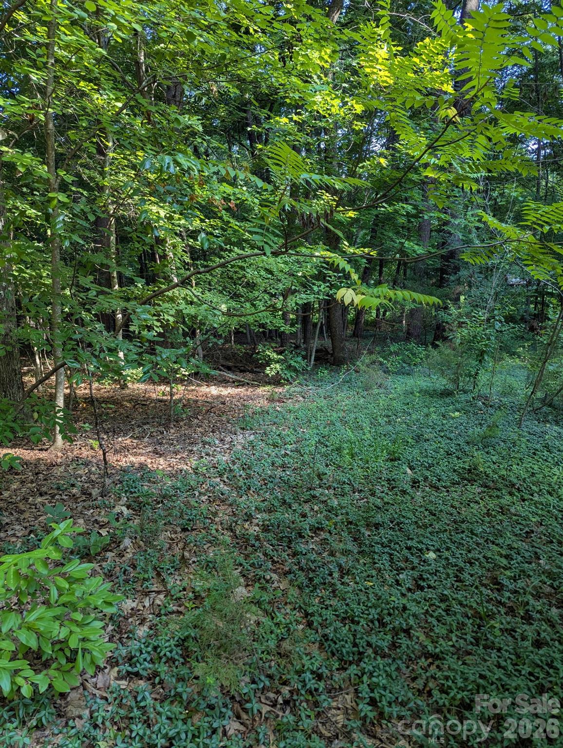 3rd image of 5165 Ches Ln, Kernersville, NC 27284 | MLS# 4409526
