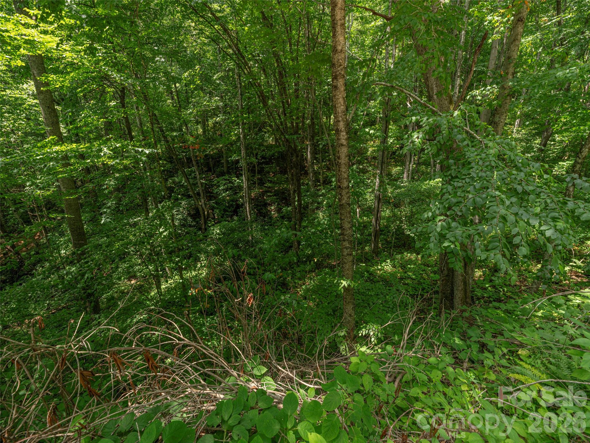 2nd image of 000 Rough Knob Rd, Clyde, NC 28721 | MLS# 4410060