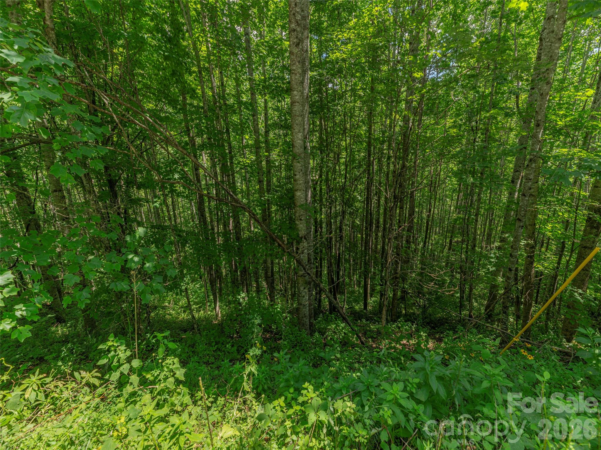 3rd image of 000 Rough Knob Rd, Clyde, NC 28721 | MLS# 4410060