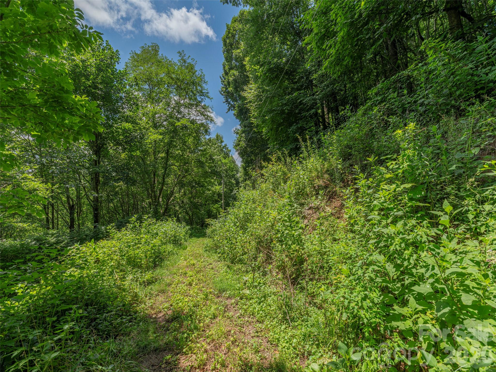 3rd image of 00000 Rough Knob Rd, Clyde, NC 28721 | MLS# 4410122