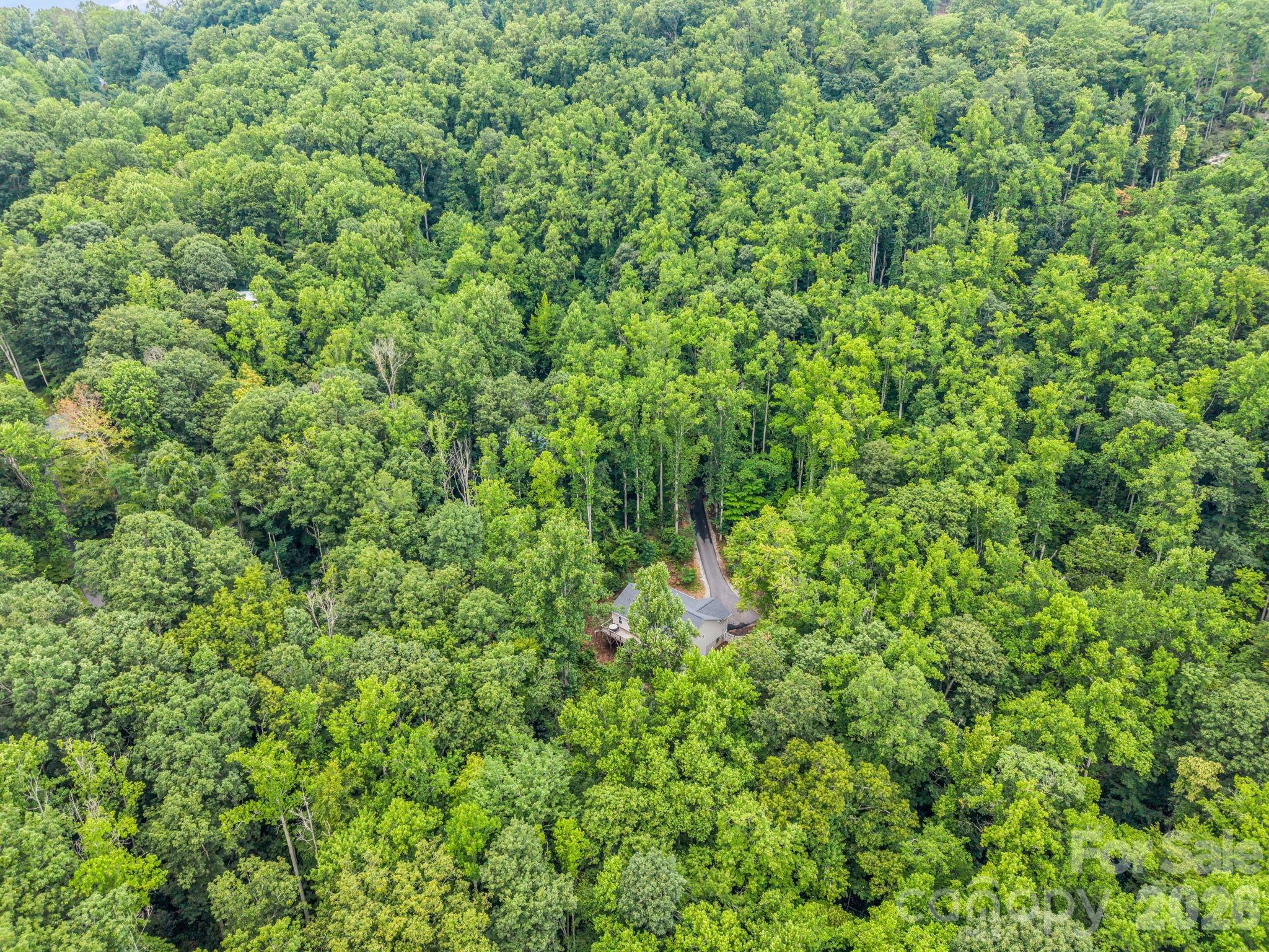 40th image of 180 Ridgeview Dr, Hendersonville, NC 28792 | MLS# 4410645