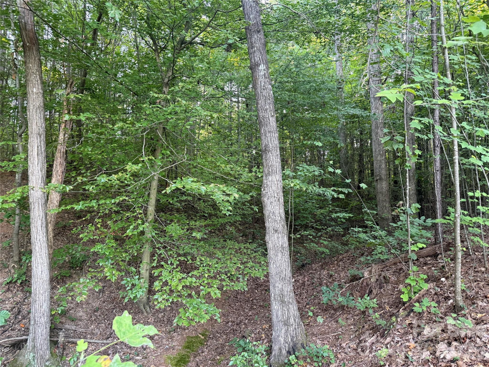 13th image of 10300 Fink Rd #1, Mount Pleasant, NC 28124 | MLS# 4412154