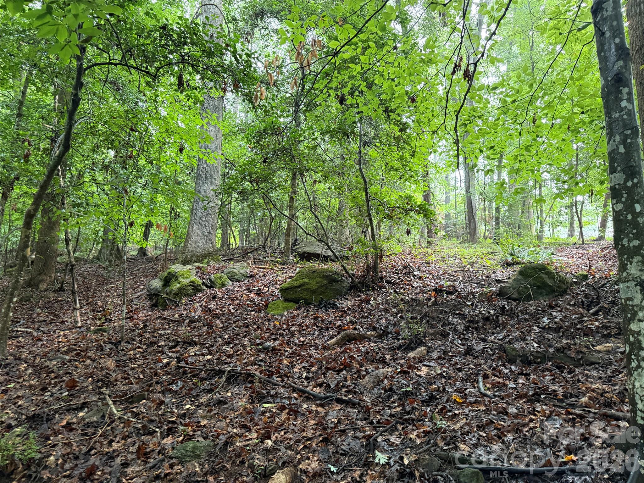 4th image of 00 Whitt Rd, Piedmont, SC 29673 | MLS# 4412391