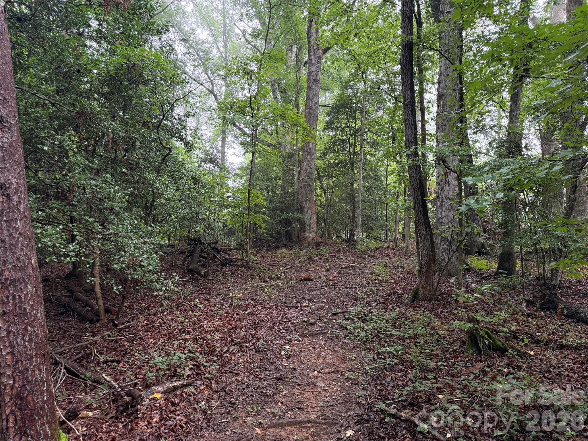 5th image of 00 Whitt Rd, Piedmont, SC 29673 | MLS# 4412391
