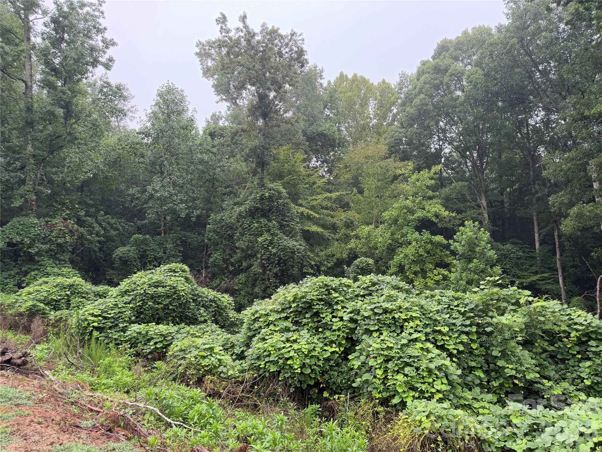 14th image of 00 Whitt Rd, Piedmont, SC 29673 | MLS# 4412391