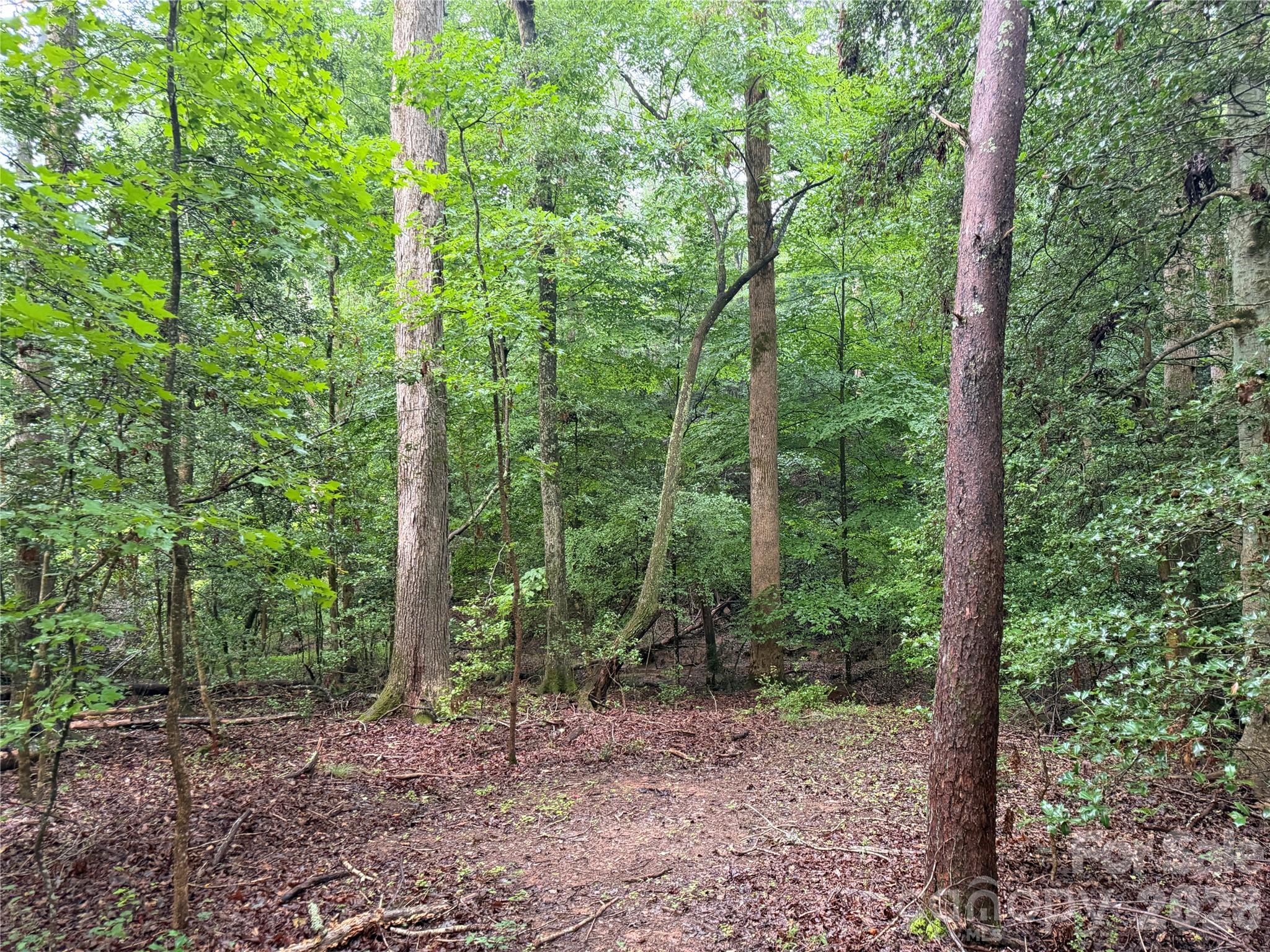 3rd image of 00 Whitt Rd, Piedmont, SC 29673 | MLS# 4412391
