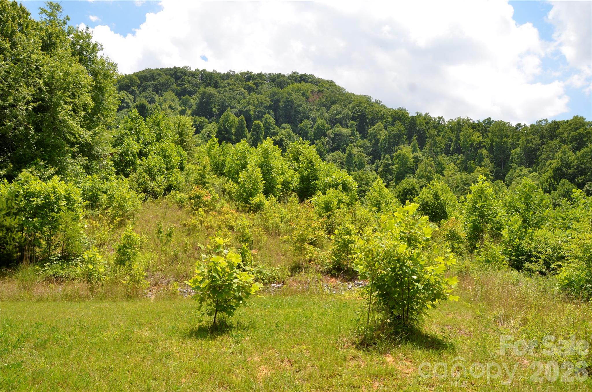 2nd image of 50 Gregory Hill Rd, Fairview, NC 28730 | MLS# 4414364