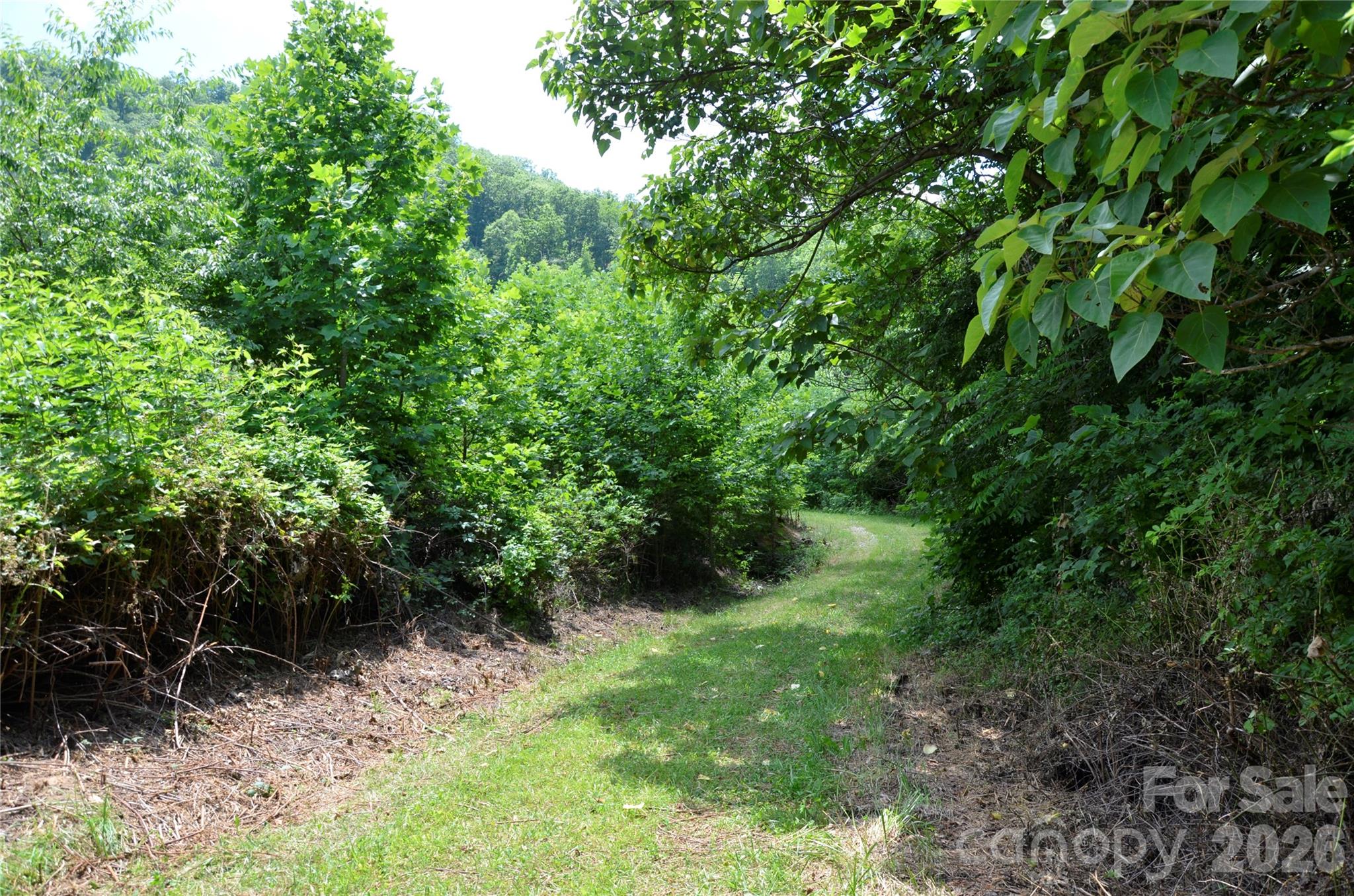 5th image of 50 Gregory Hill Rd, Fairview, NC 28730 | MLS# 4414364