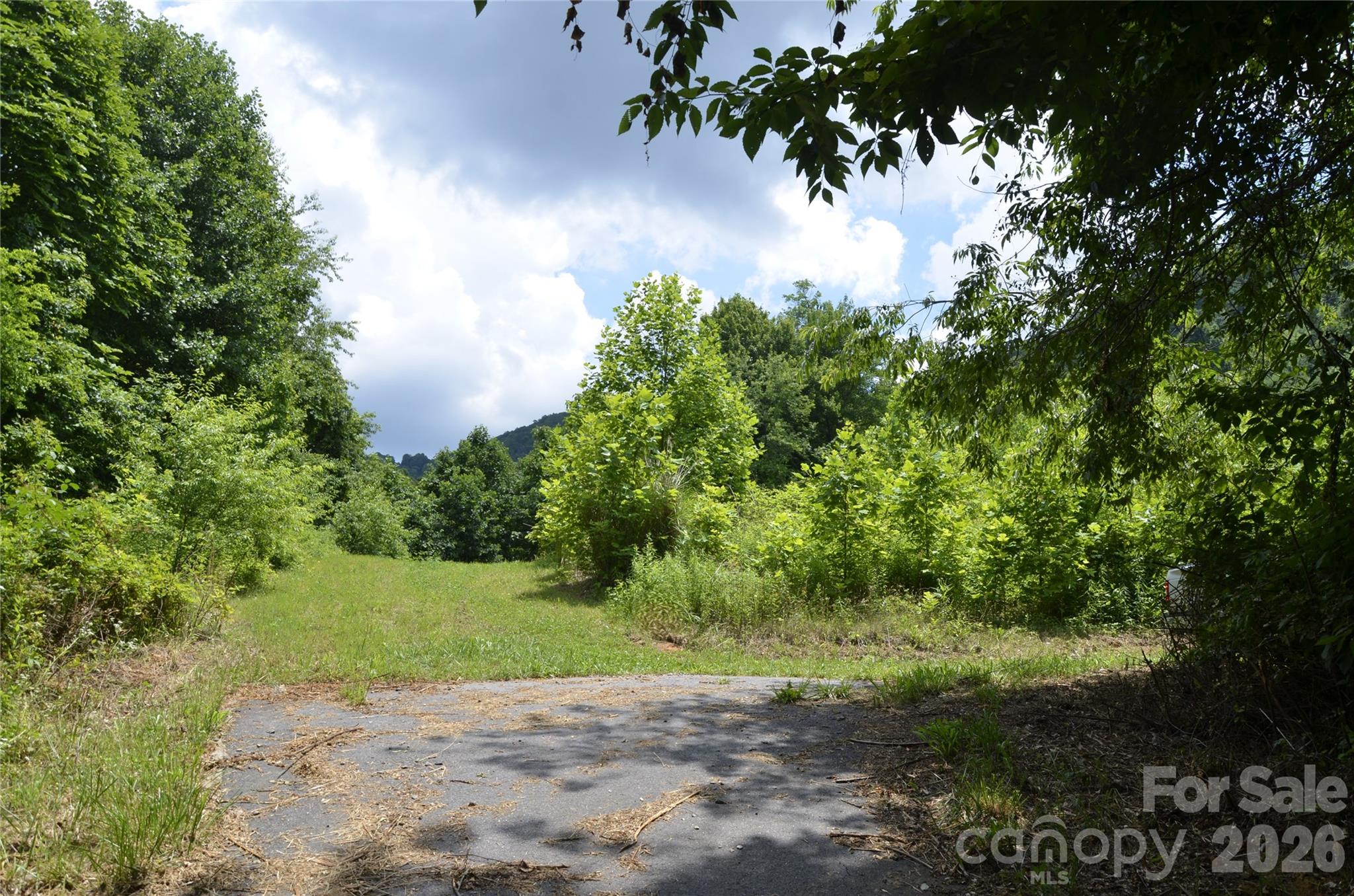 4th image of 50 Gregory Hill Rd, Fairview, NC 28730 | MLS# 4414364