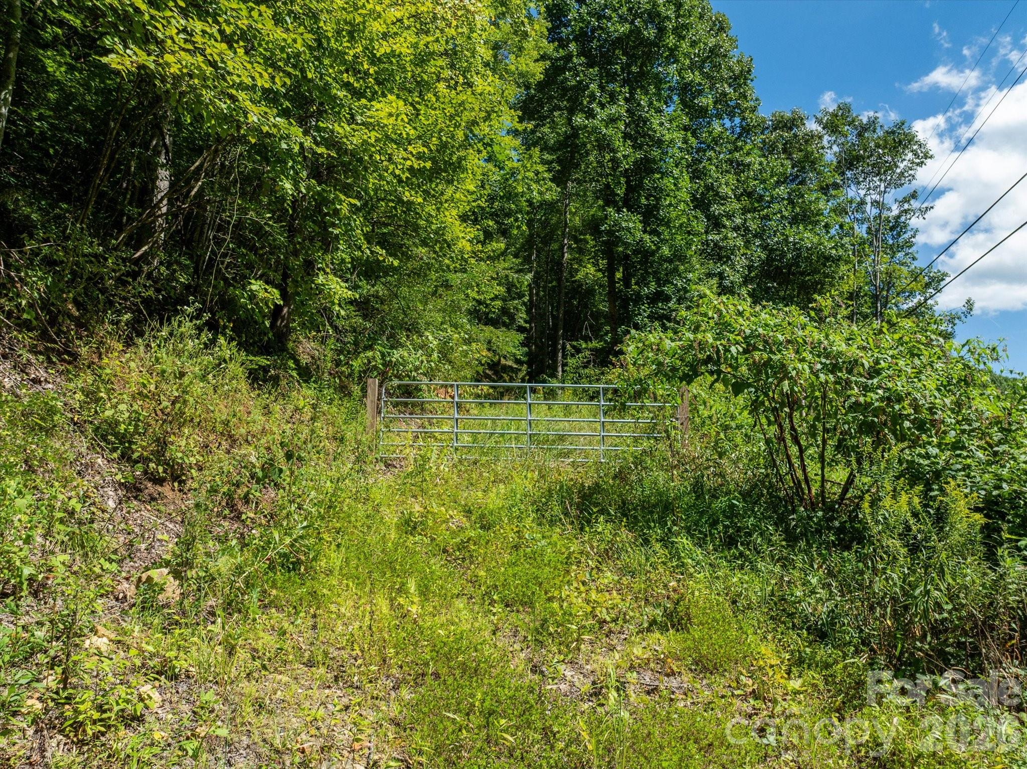 Photo 4 of Land for sale at 99999 Patsy Crk Rd, Burnsville, NC 28714 | MLS# 4417028 | Listing updated on 2026-09-04
