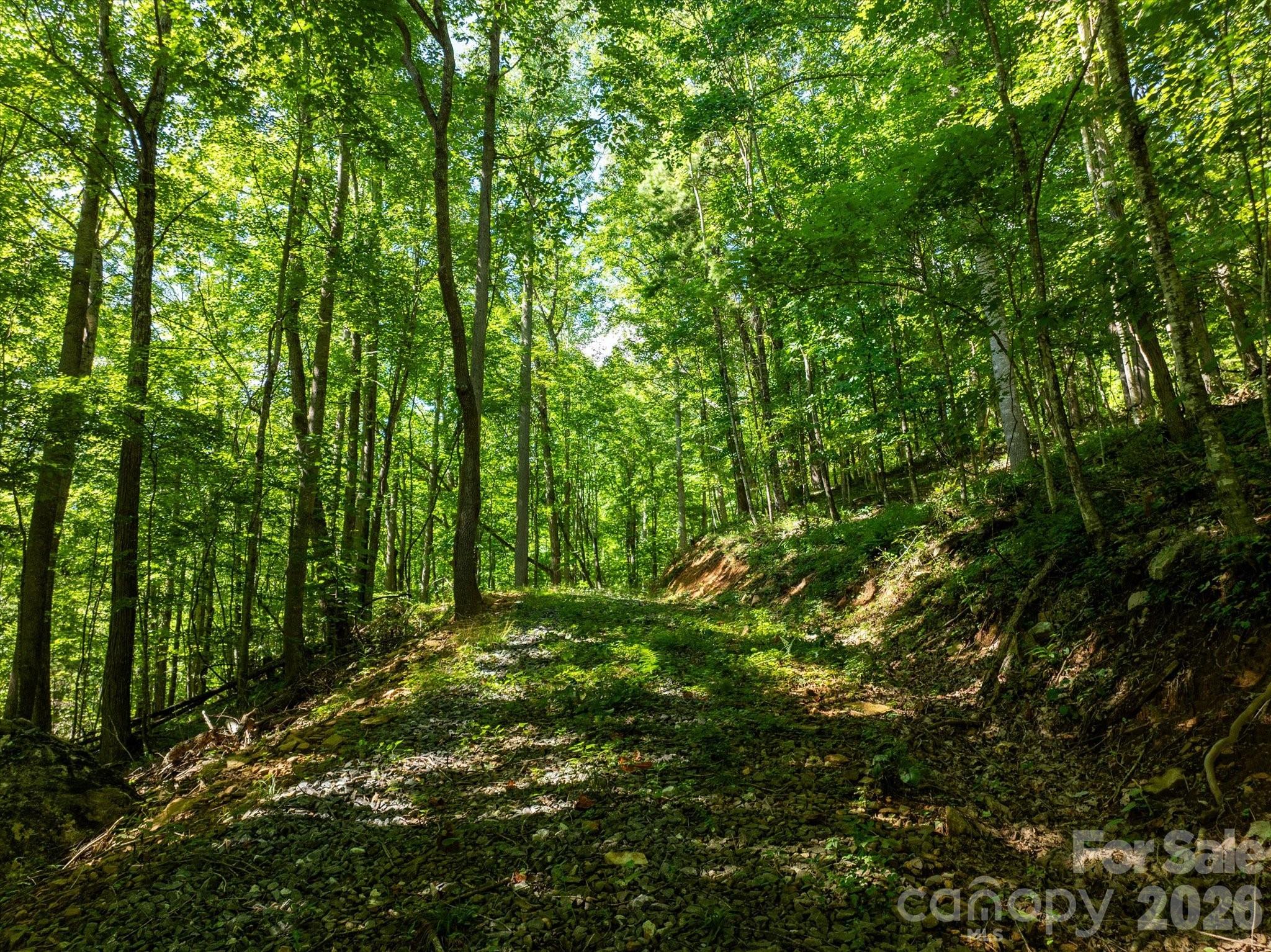 Photo 5 of Land for sale at 99999 Patsy Crk Rd, Burnsville, NC 28714 | MLS# 4417028 | Listing updated on 2026-09-04