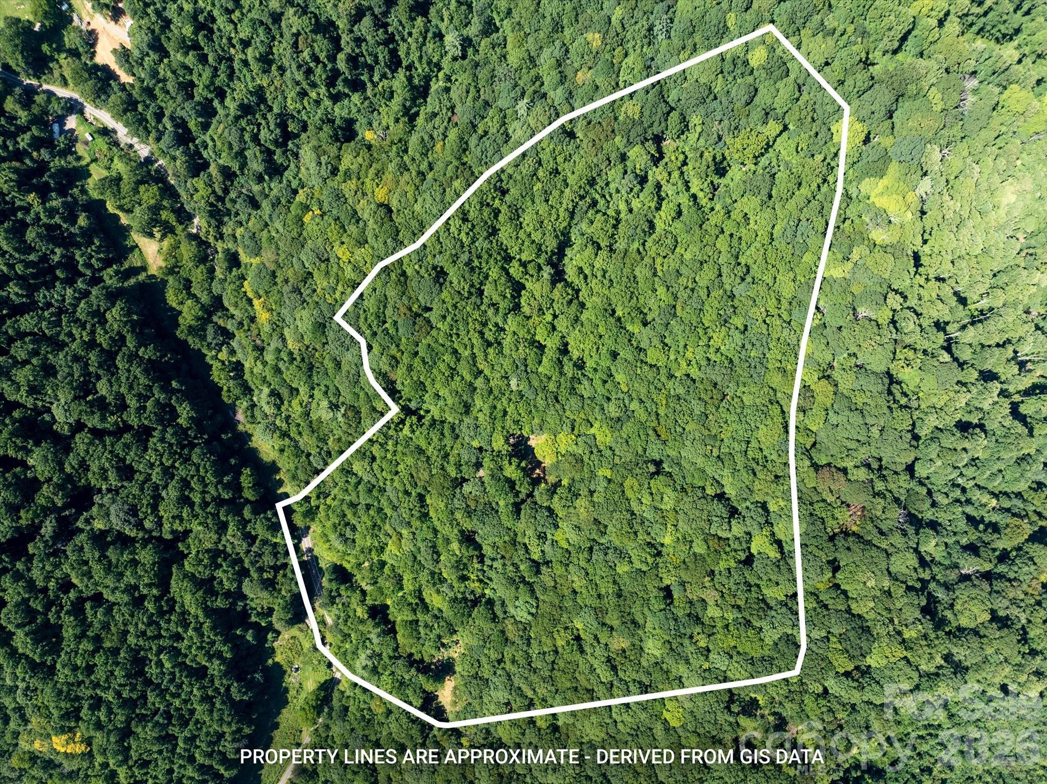 Photo 1 of Land for sale at 99999 Patsy Crk Rd, Burnsville, NC 28714 | MLS# 4417028 | Listing updated on 2026-09-04